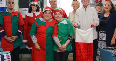 Community-elves-spreading-festive-cheer