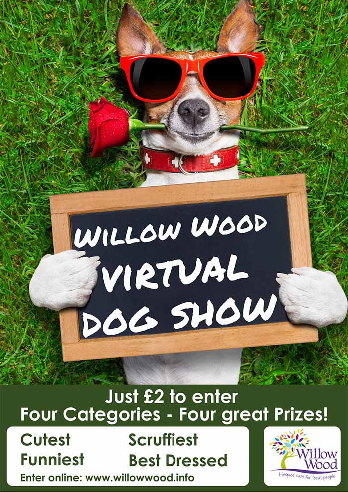 willow-wood-virtual-dog-show
