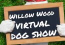 willow-wood-virtual-dog-show-4